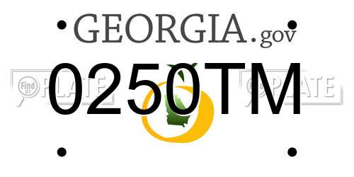 0250TM Georgia License Plate