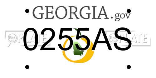 0255AS Georgia License Plate