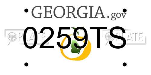 0259TS Georgia License Plate