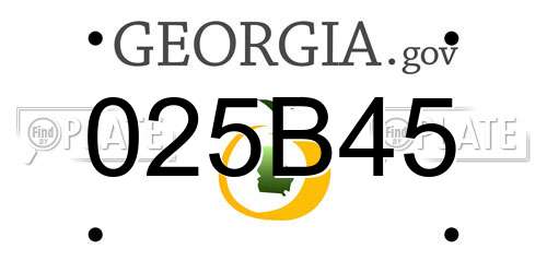 025B45 Georgia License Plate