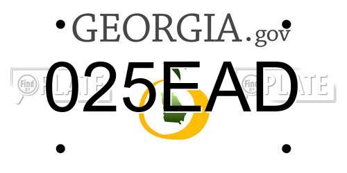 025EAD Georgia License Plate