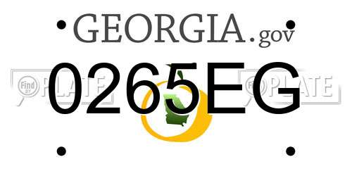 0265EG Georgia License Plate