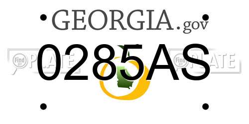 0285AS Georgia License Plate