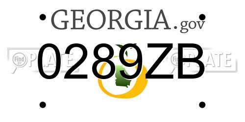 0289ZB Georgia License Plate