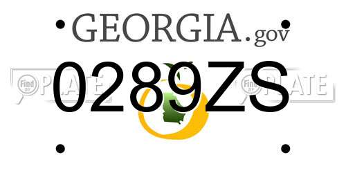 0289ZS Georgia License Plate