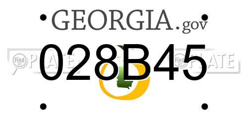028B45 Georgia License Plate