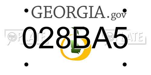 028BA5 Georgia License Plate