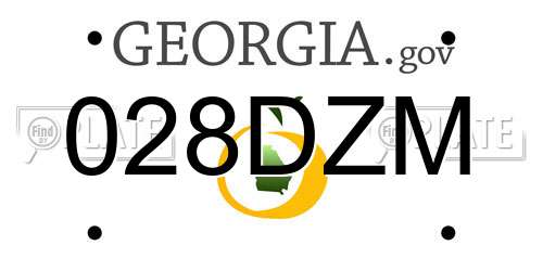 028DZM Georgia License Plate
