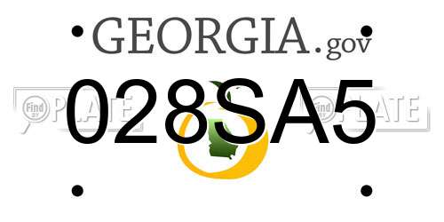 028SA5 Georgia License Plate