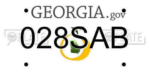 028SAB Georgia License Plate