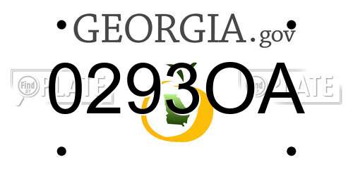 0293OA Georgia License Plate