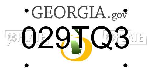 029TQ3 Georgia License Plate