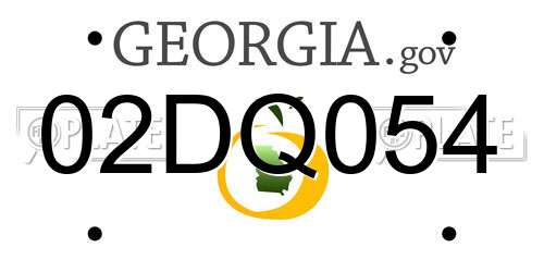 02DQ054 Georgia License Plate