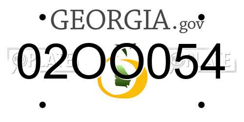 02OO054 Georgia License Plate