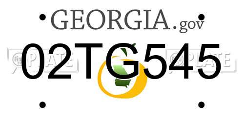 02TG545 Georgia License Plate