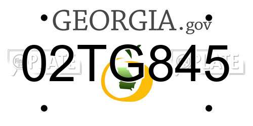 02TG845 Georgia License Plate