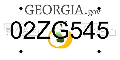 02ZG545 Georgia License Plate