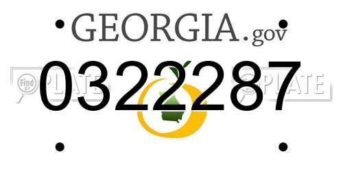 0322287 Georgia License Plate