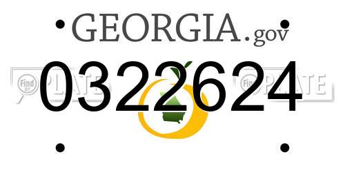 0322624 Georgia License Plate