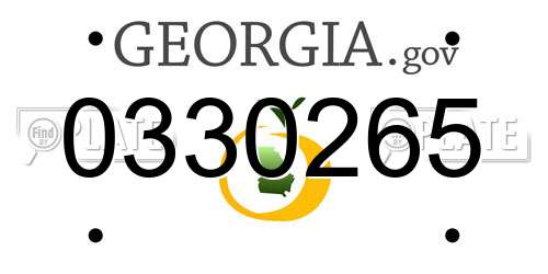 0330265 Georgia License Plate