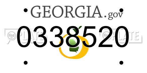 0338520 Georgia License Plate