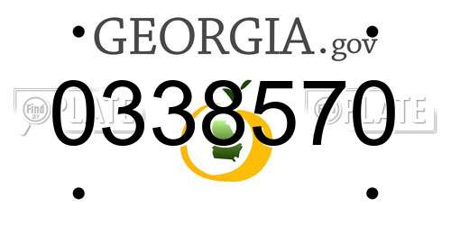 0338570 Georgia License Plate
