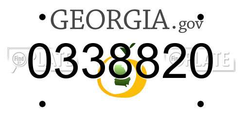 0338820 Georgia License Plate