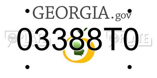03388T0 Georgia License Plate