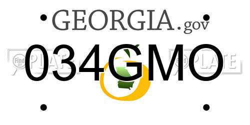 034GMO Georgia License Plate