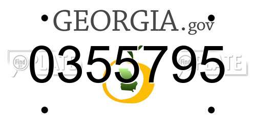 0355795 Georgia License Plate