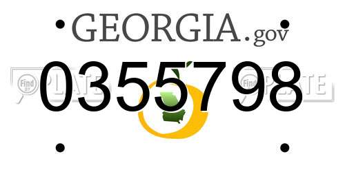0355798 Georgia License Plate