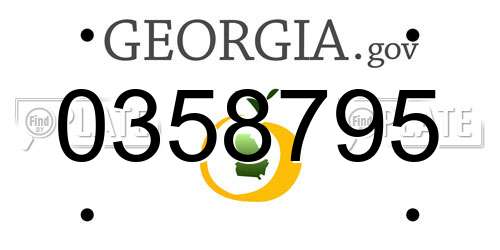 0358795 Georgia License Plate