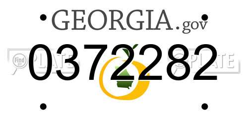 0372282 Georgia License Plate
