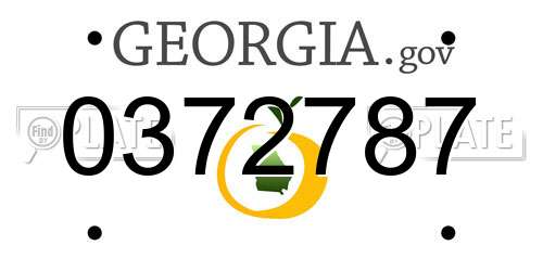0372787 Georgia License Plate
