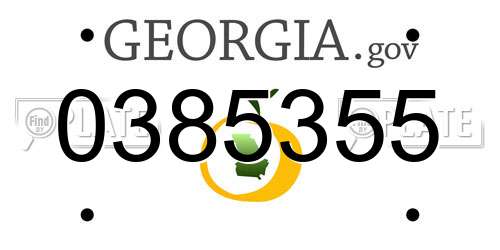 0385355 Georgia License Plate