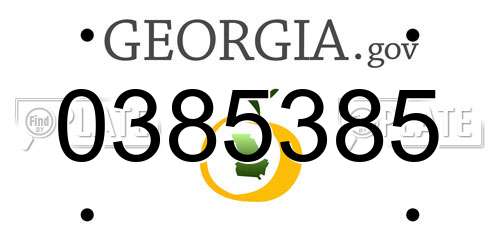 0385385 Georgia License Plate