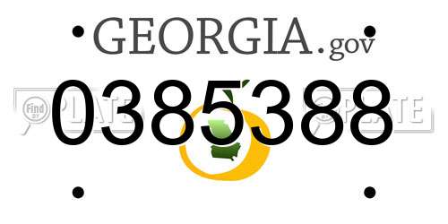0385388 Georgia License Plate