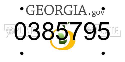 0385795 Georgia License Plate