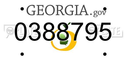 0388795 Georgia License Plate