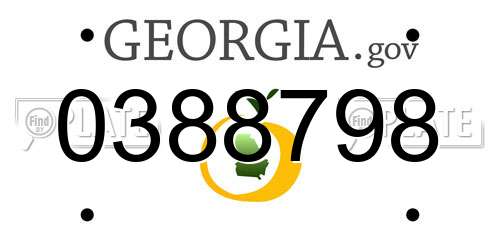 0388798 Georgia License Plate
