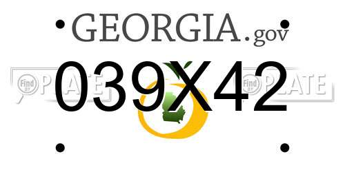 039X42 Georgia License Plate