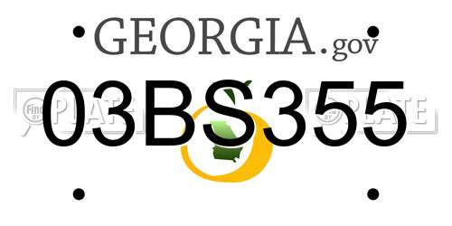 03BS355 Georgia License Plate