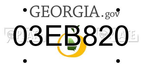 03EB820 Georgia License Plate