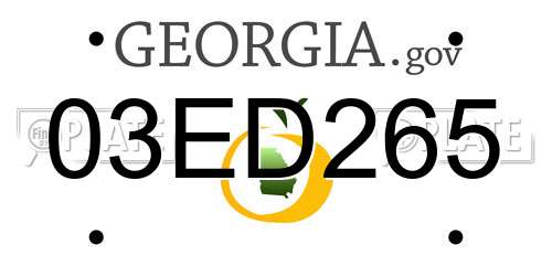 03ED265 Georgia License Plate