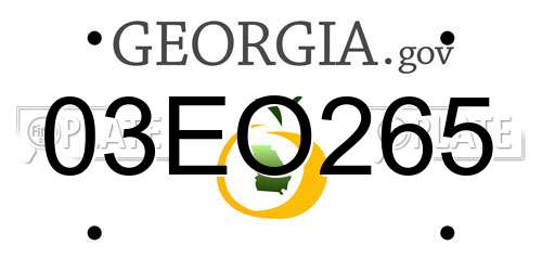 03EO265 Georgia License Plate
