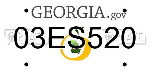 03ES520 Georgia License Plate