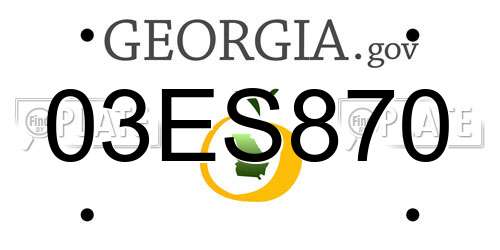 03ES870 Georgia License Plate