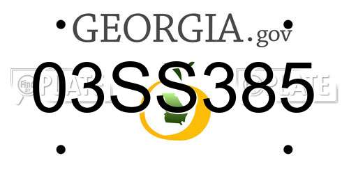 03SS385 Georgia License Plate