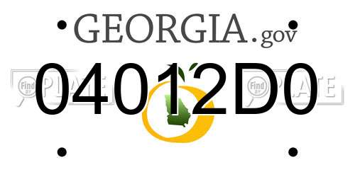 04012D0 Georgia License Plate