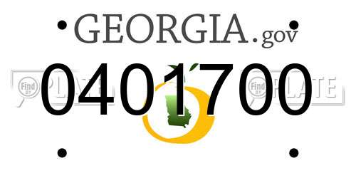 0401700 Georgia License Plate
